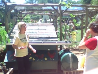 Coop roof collects rainwater for chickens to drink